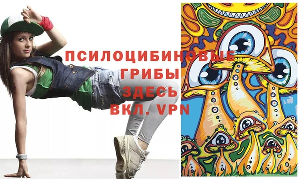 гашик Балабаново