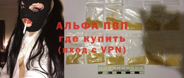 индика Балахна