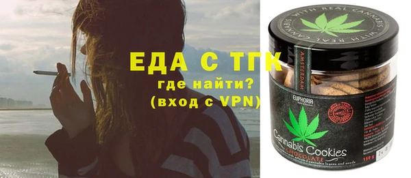 индика Балахна