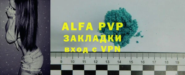 индика Балахна