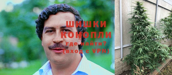 индика Балахна