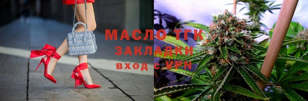 индика Балахна