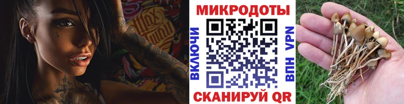Псилоцибиновые грибы Psilocybe  MEGA как войти  Крымск  хочу наркоту 